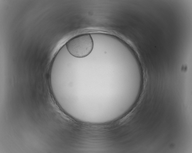X0000111911365200907271025