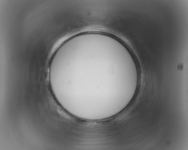 X0000111911366200907271025