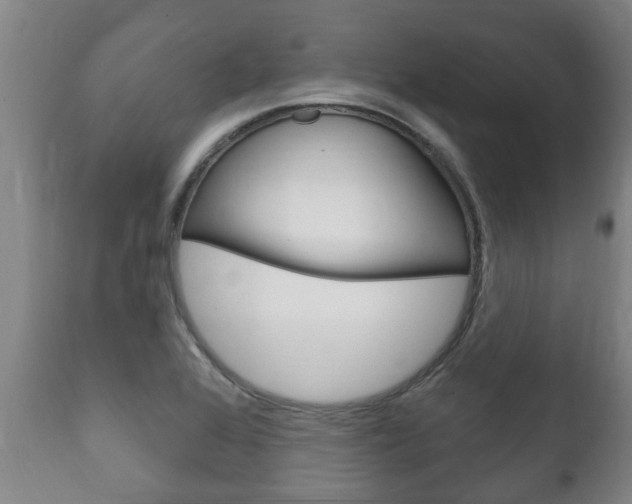 X0000111911368200907271025