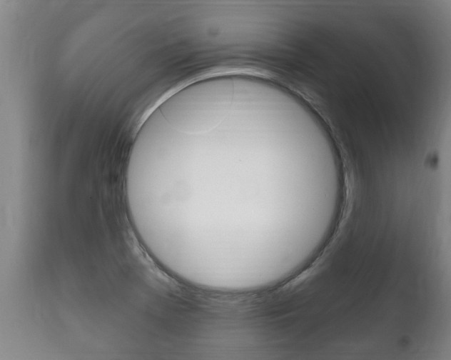 X0000111911369200907271025