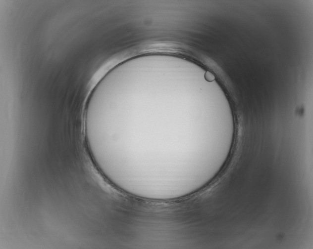 X0000111911370200907271025