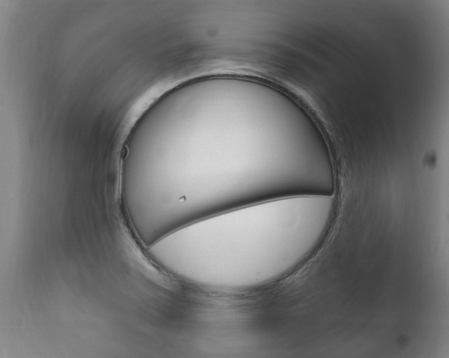X0000111911371200907271025