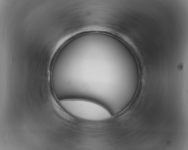 X0000111911372200907271025