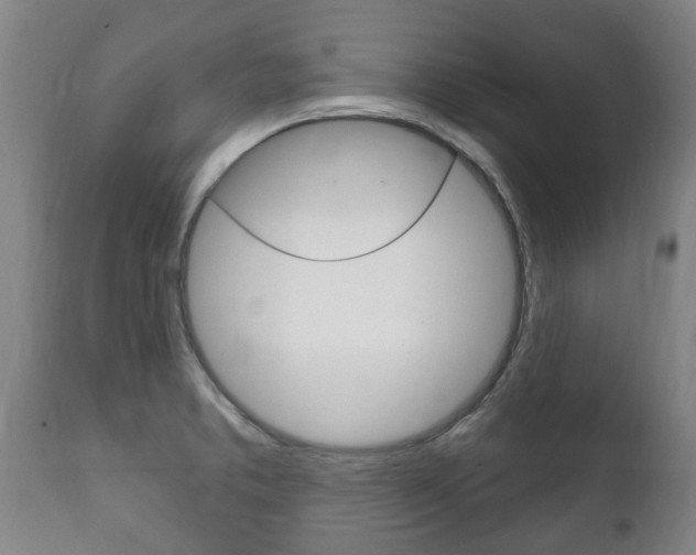X0000111911373200907271024