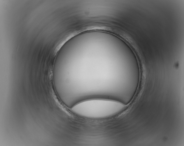 X0000111911377200907271024