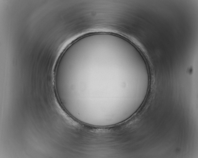 X0000111911380200907271024