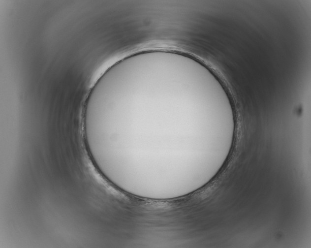 X0000111911382200907271024