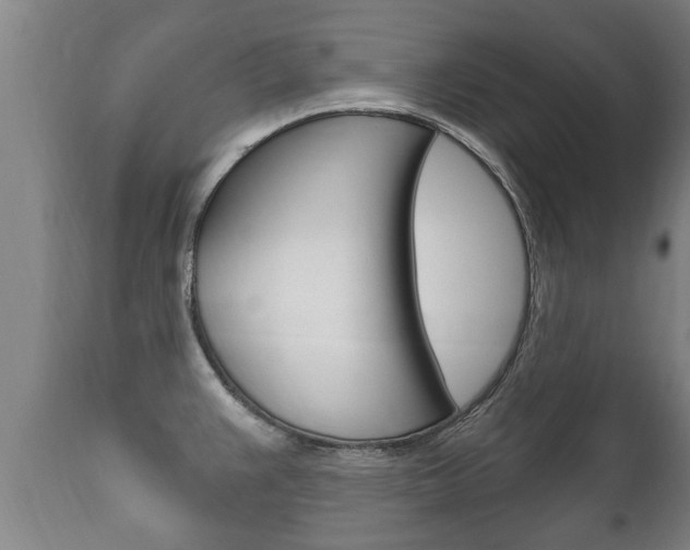 X0000111911383200907271024