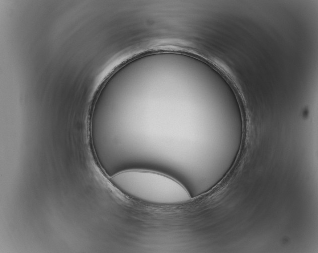 X0000111911384200907271024