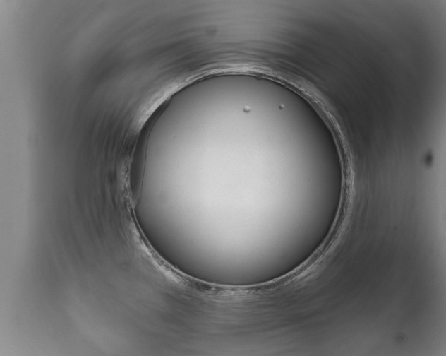 X0000111911385200907271024