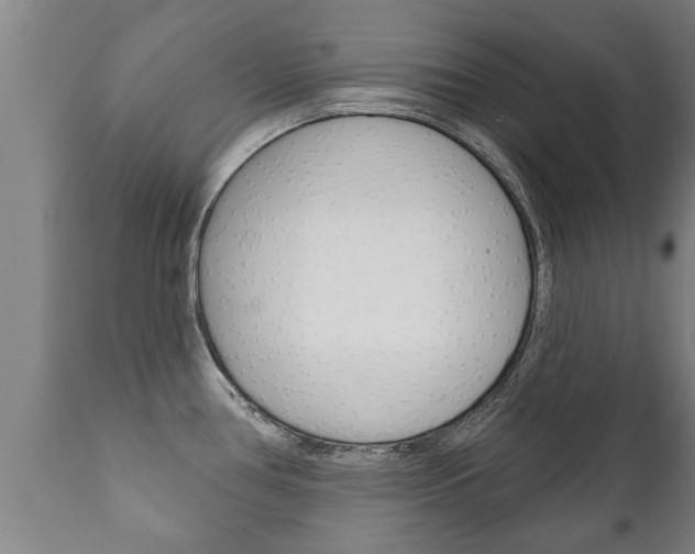 X0000111911386200907271024