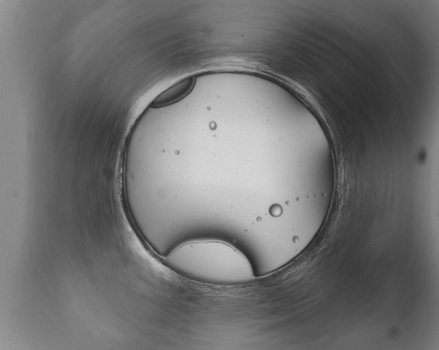 X0000111911387200907271024
