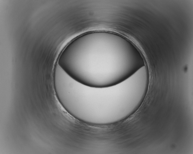 X0000111911388200907271024