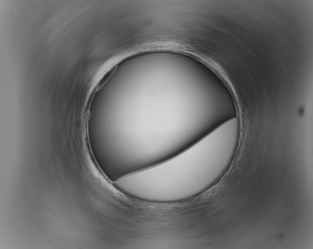 X0000111911389200907271024