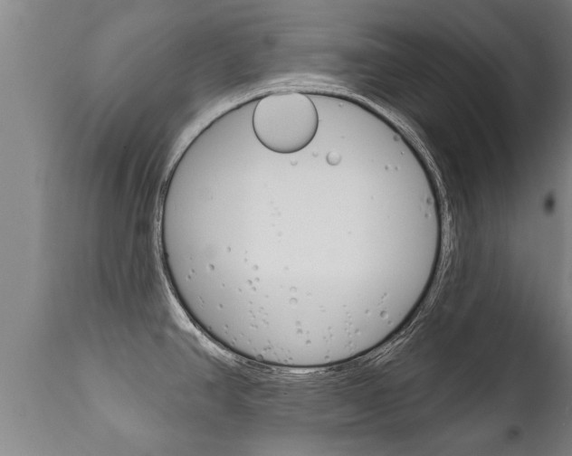 X0000111911390200907271024