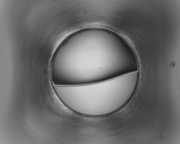 X0000111911392200907271024