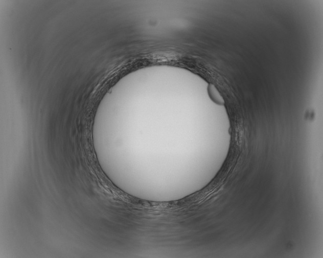 X0000111911393200907271023