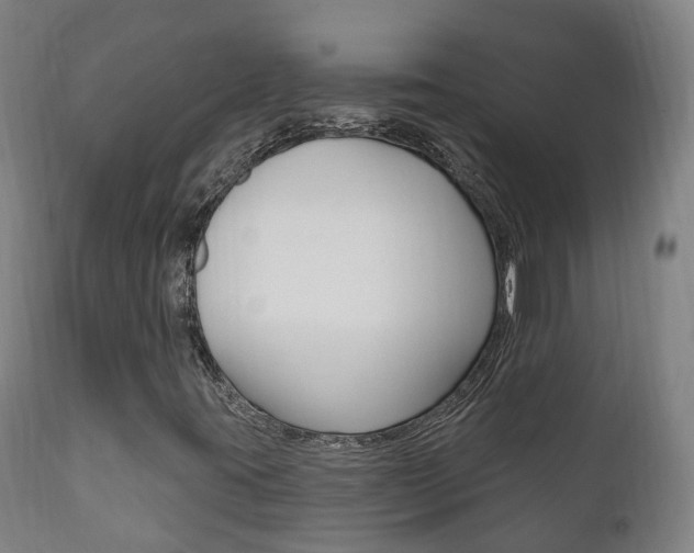 X0000111911395200907271023