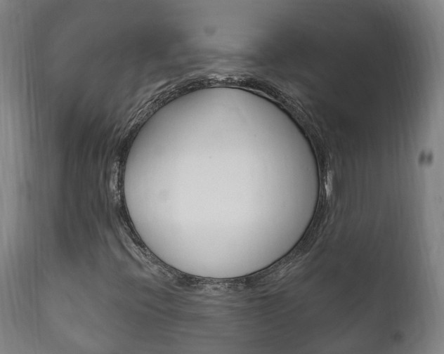 X0000111911396200907271023