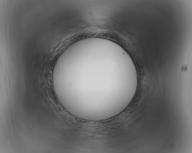 X0000111911397200907271023