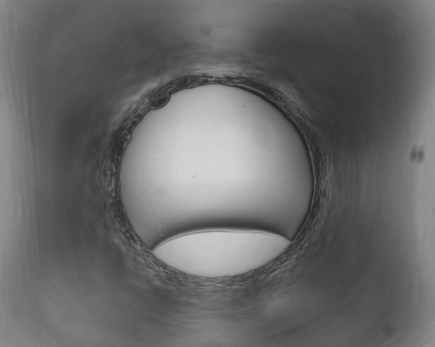 X0000111911398200907271023