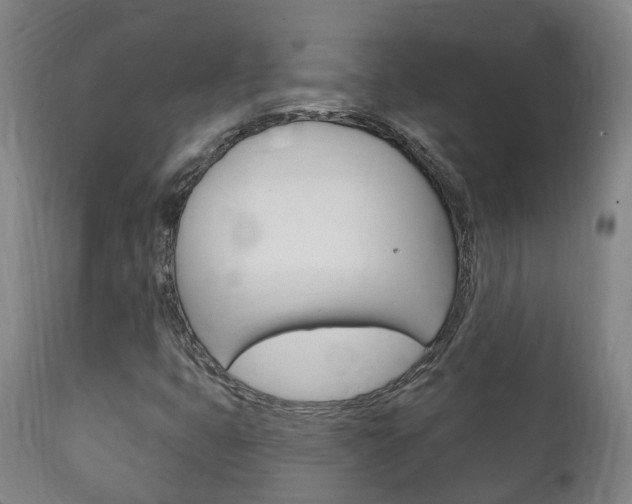 X0000111911399200907271023