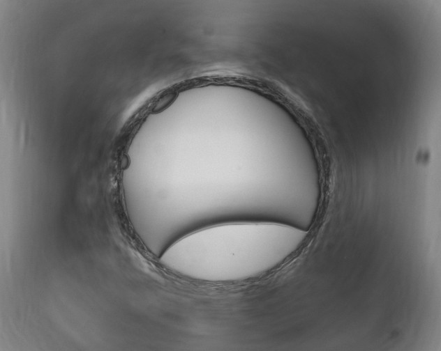 X0000111911400200907271023