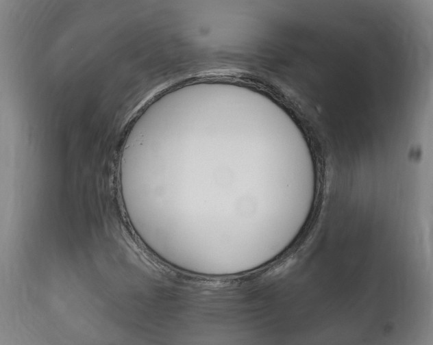 X0000111911401200907271023