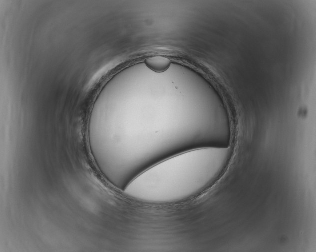 X0000111911402200907271023