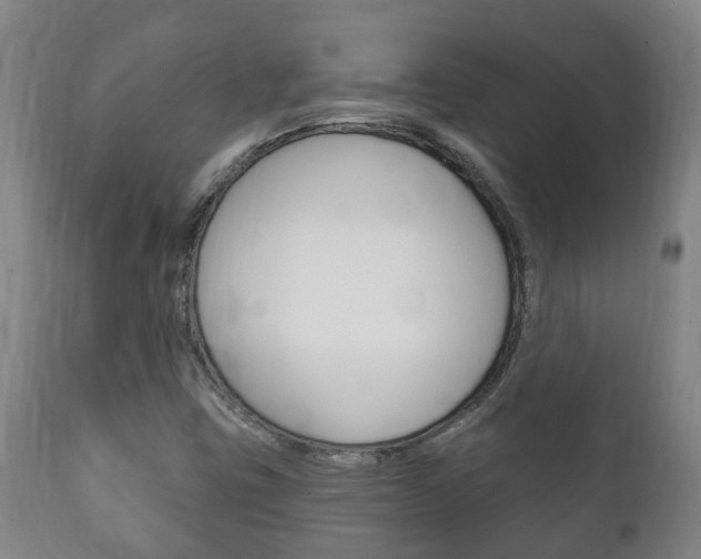 X0000111911403200907271023