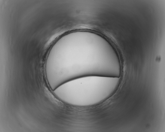 X0000111911404200907271023