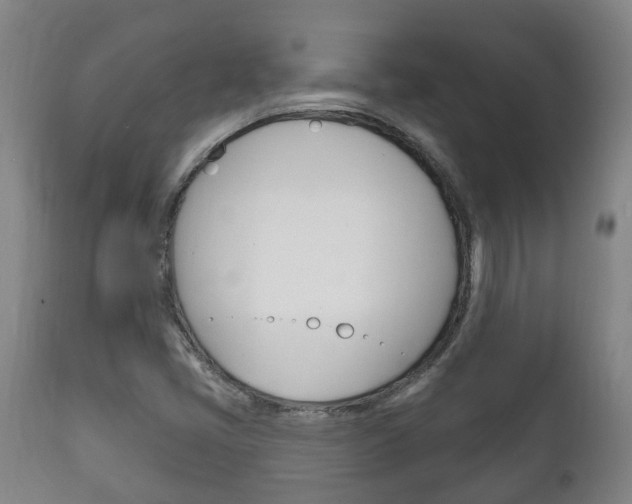 X0000111911405200907271023