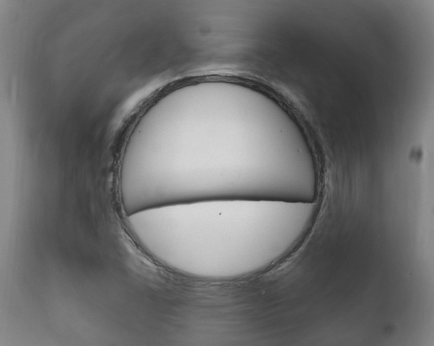 X0000111911406200907271023