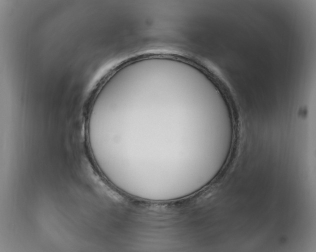 X0000111911408200907271023