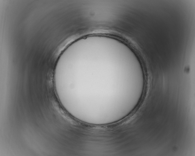 X0000111911409200907271023