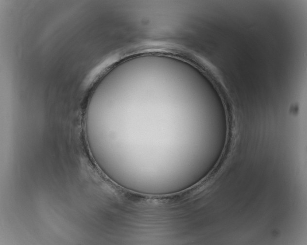 X0000111911411200907271023