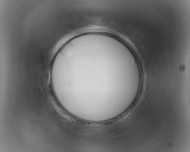 X0000111911413200907271024