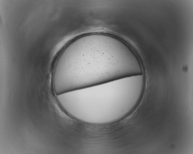 X0000111911414200907271024