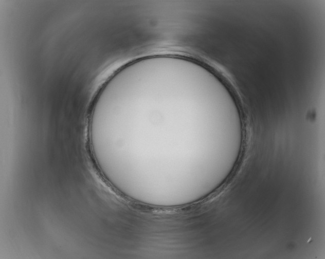 X0000111911415200907271024