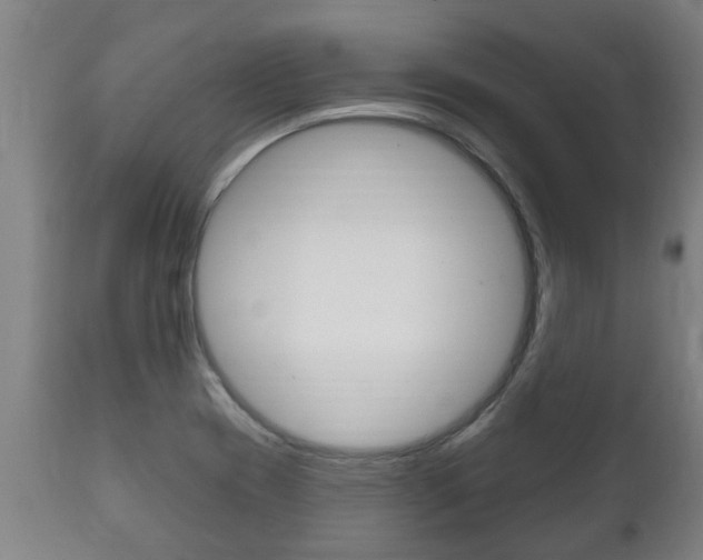 X0000111911417200907271024