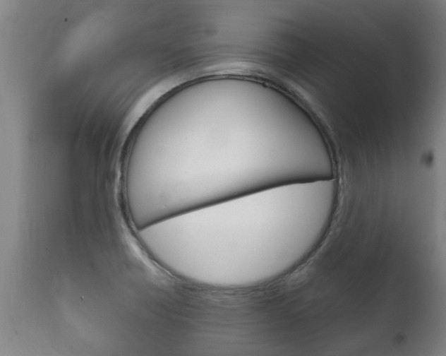 X0000111911418200907271024