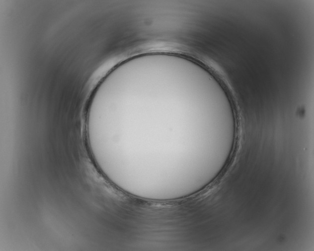 X0000111911419200907271024