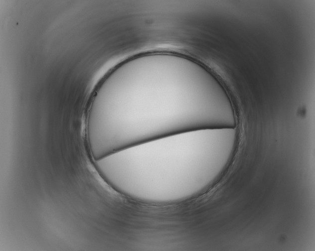 X0000111911420200907271024