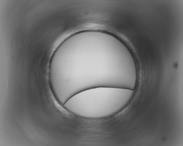 X0000111911421200907271024