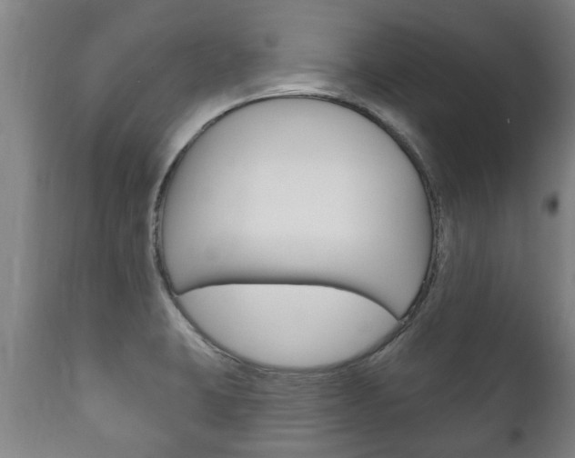 X0000111911423200907271024
