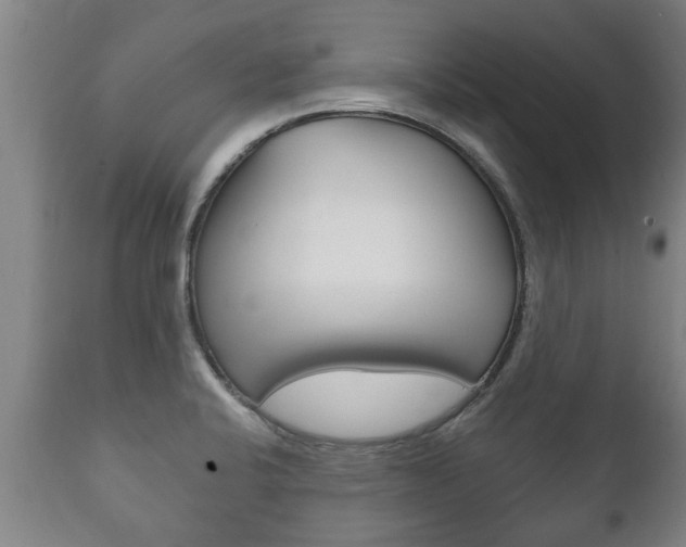 X0000111911424200907271024