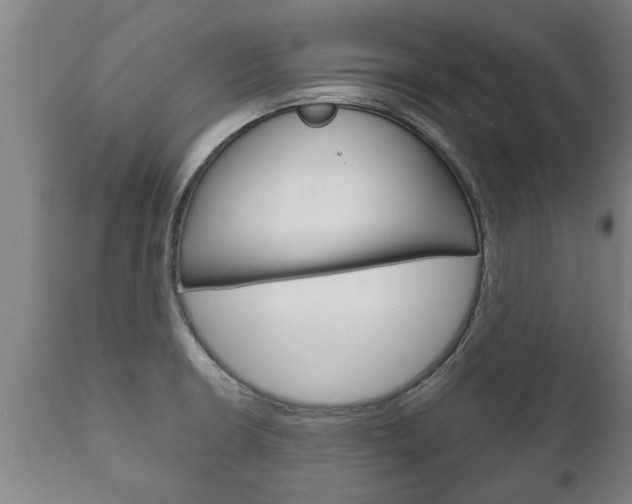 X0000111911426200907271024