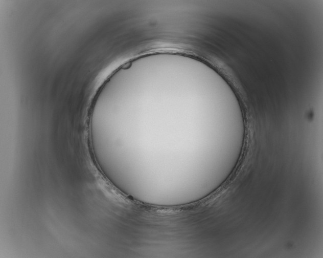 X0000111911427200907271024