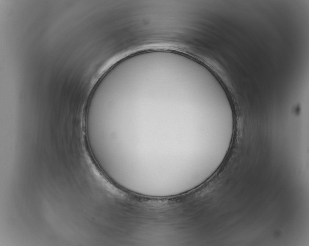 X0000111911428200907271024