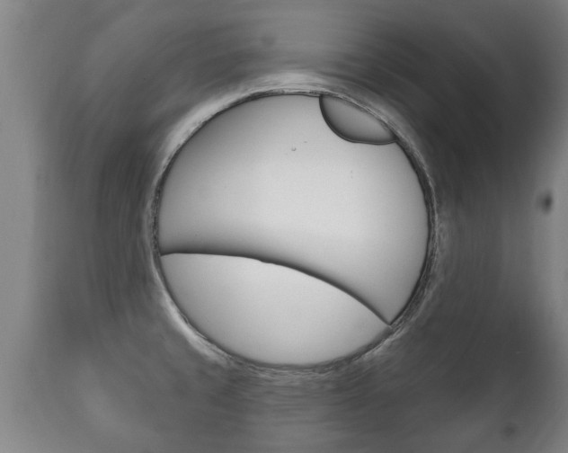 X0000111911429200907271024